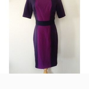 Elegant Coldwater Creek Purple Colorblock Dress